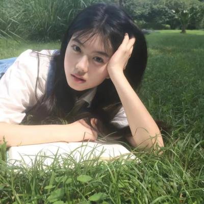 森林：随处可见